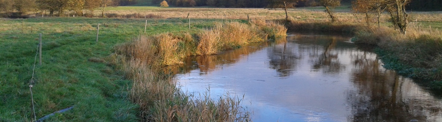 20131030_stemning2.jpg